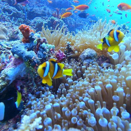 White Coral Rasdhoo 호텔 외부 사진