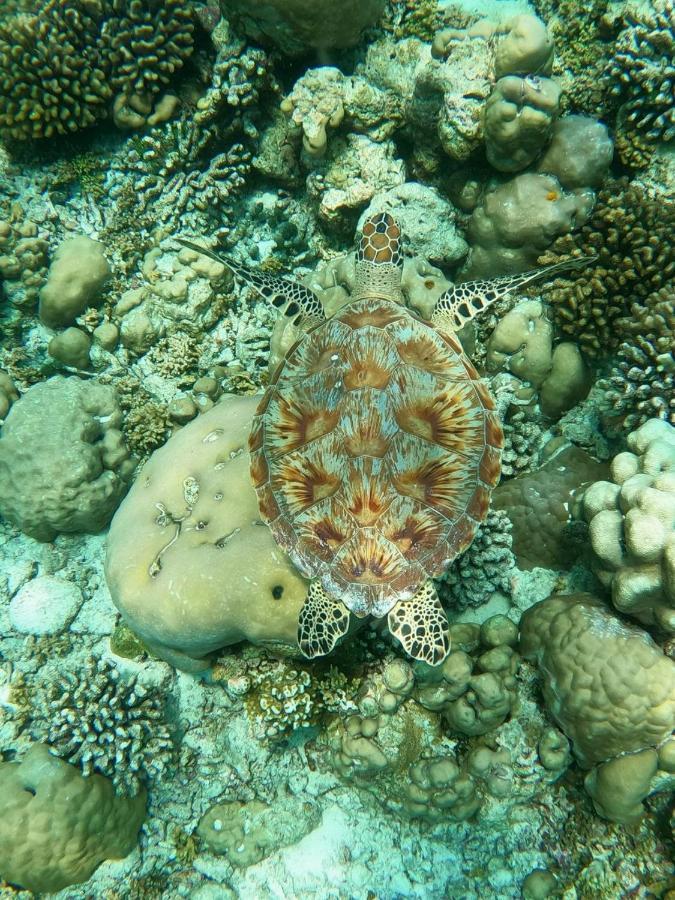 White Coral Rasdhoo 호텔 외부 사진
